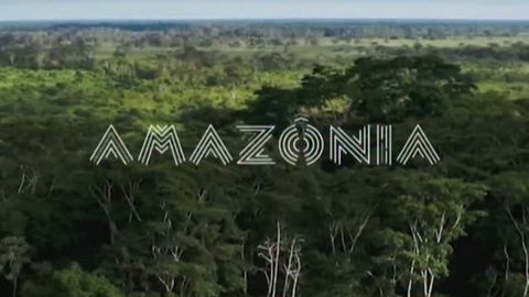 Bate-papo: Amazônia: o que a floresta nos conta?