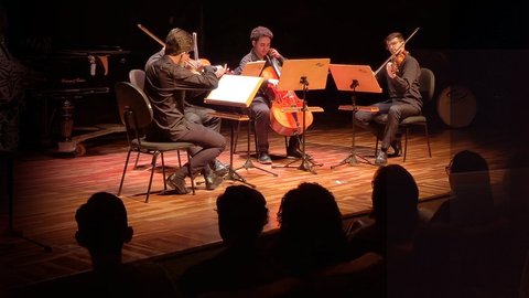 Concerto de Música de Câmara com Estudantes do Instituto