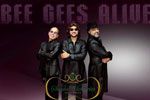Folder do Evento: Bee Gees Alive