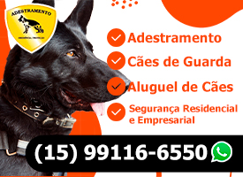 AJ Adestramento Segurana Aluguel de Ces