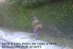 Foto 21