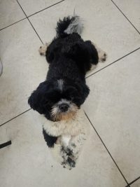 Foto 13