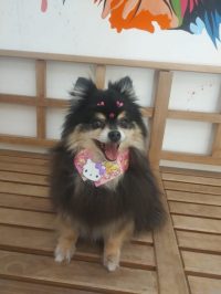 Foto 18