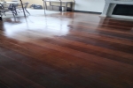 Foto 48