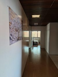 Foto 20