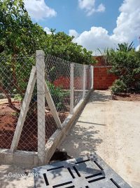Foto 6