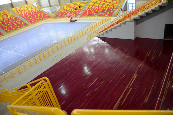 prefeito-visita-arena-multiuso-ft-assis-cavalcante-45