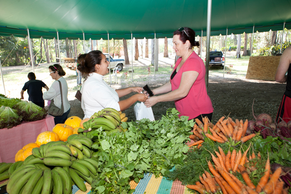 alexandre-lombardi20140928feira-organicos-4