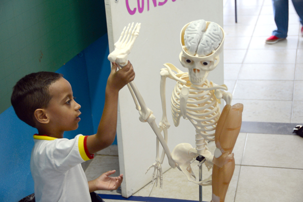 projeto-hospital-do-ursinho-cei-15-ft-assis-cavalcante-018