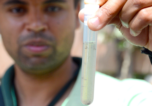 combate-a-dengue-vila-formosa-ft-assis-cavalcante-005