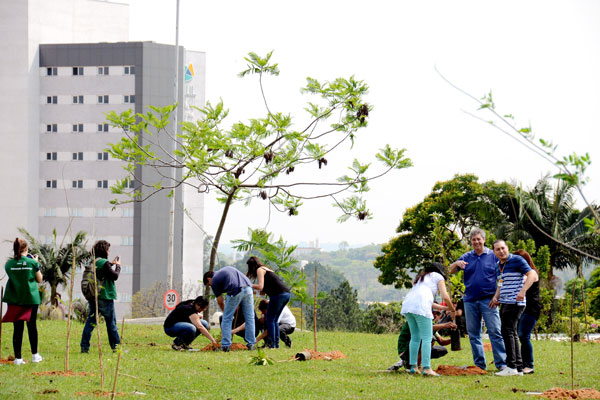 2015-09-30-pacoplantio-e-doaco-de-mudas-ft-zaqueu-proenca-045