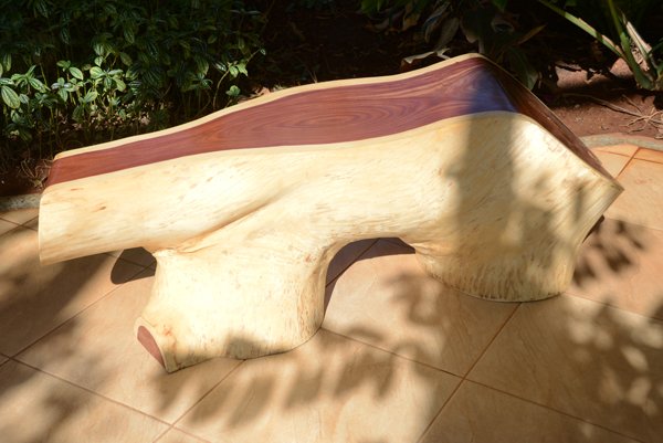 2016-09-12-exposico-dia-da-arvore-ft-emerson-ferraz-056