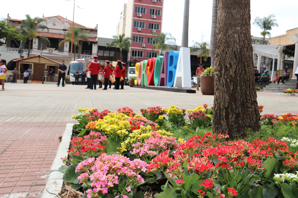 FormatFactoryimg2479