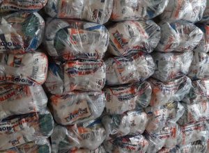 noticias.sorocaba.sp.gov.br-prefeitura-inicia-nova-entrega-de-kit-alimentacao-foto-1-300x220