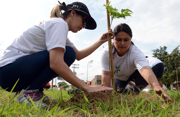 2015-10-09-arborizaco-urbanaplantio-de-mudas-em-aparecidinha-ft-zaqueu-proenca-054-7