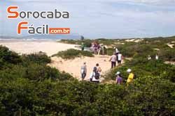 Selecione uma Categoria em , Sorocaba - Foto 10