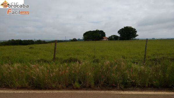 rea de 196.165 m na Castelo Branco