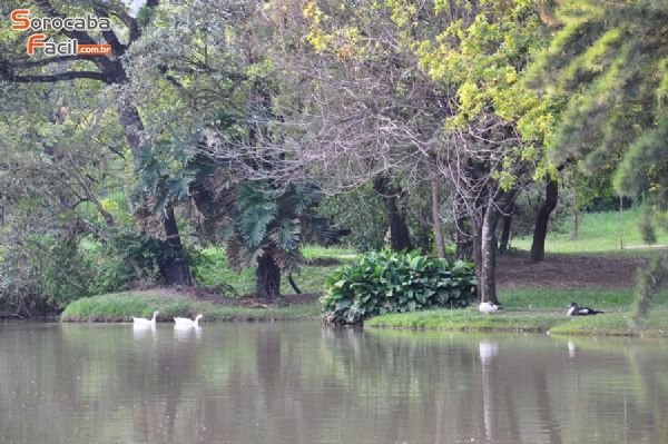 Condomínio em Zona Industrial, Sorocaba - Linda Casa - cód 39LC (LOCAÇÃO) - Foto 4