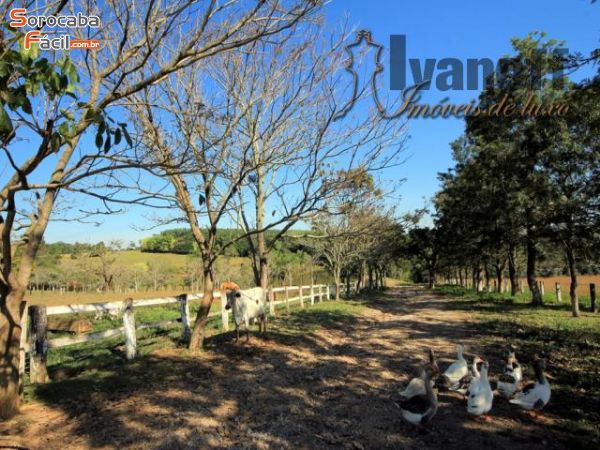 Fazenda em , Sorocaba - linda fazenda em Sorocaba 405 - Foto 53