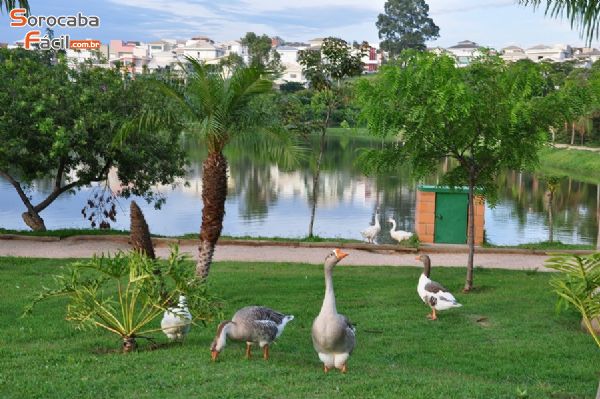 Condomínio em Zona Industrial, Sorocaba - Linda Casa - cód 39LC (LOCAÇÃO) - Foto 8