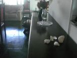 Foto do Imvel 11