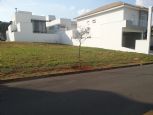 Foto Destaque