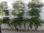 Foto do Imvel 13