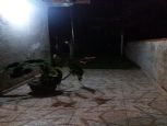 Foto do Imvel 6