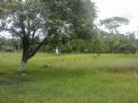 Foto do Imvel 7