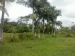Foto do Imvel 9