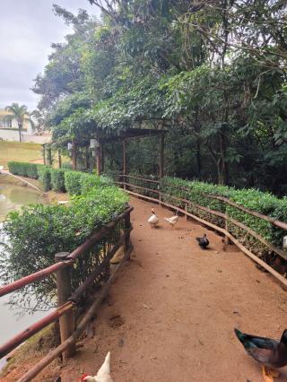 Terreno em JARDIM NOVO HORIZONTE, SOROCABA - Foto 11