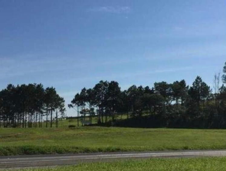 area em VILA ARTURA, SOROCABA - Área na Rodovia Castelo Branco (em frente a Toyota) - Foto 1