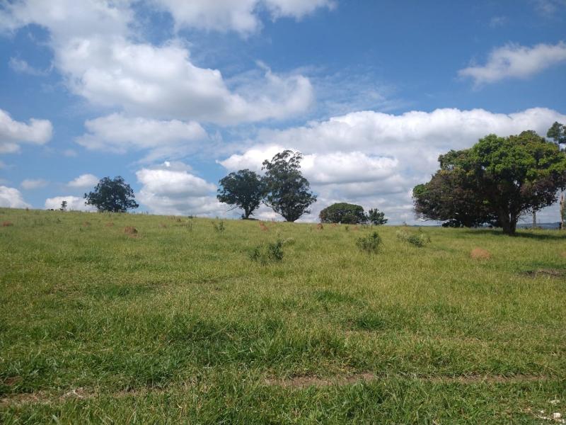 area em BRIGADEIRO TOBIAS, SOROCABA - Vende-se esta área com 89 mil metros em Brigadeiro Tobias - Foto 1