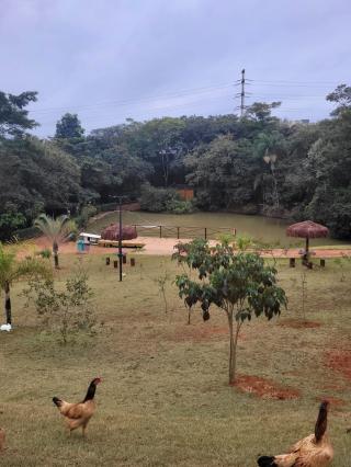Terreno em JARDIM NOVO HORIZONTE, SOROCABA - Foto 12