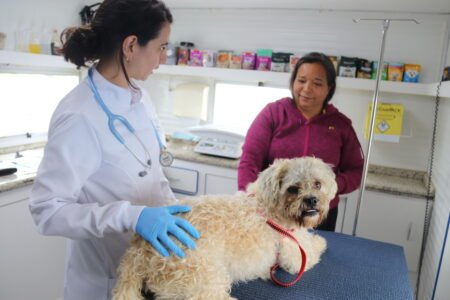 Consultório Veterinário Móvel leva saúde e bem-estar a cães e gatos de diferentes regiões de Sorocaba