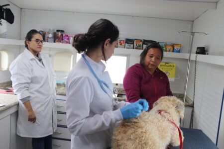 Consultório Veterinário Móvel leva saúde e bem-estar a cães e gatos de diferentes regiões de Sorocaba