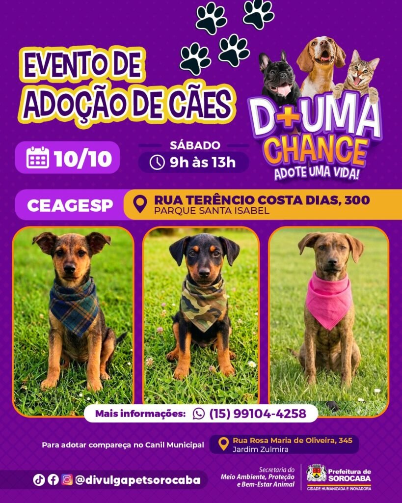 CEAGESP recebe evento de adoção de cães do Canil Municipal de Sorocaba neste sábado (10)