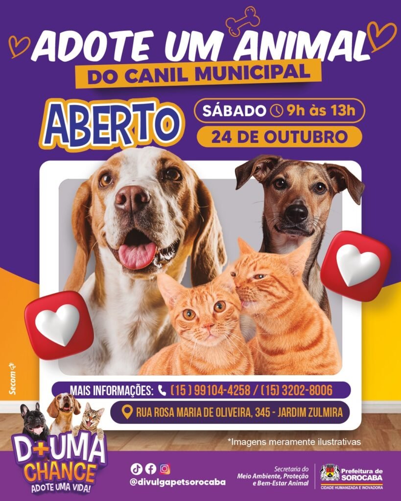 Canil Municipal de Sorocaba é aberto para adoção responsável de cães e gatos no dia 24 de outubro