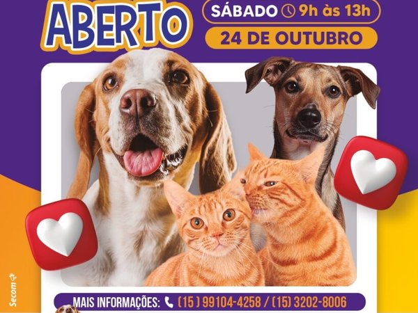 Canil Municipal de Sorocaba é aberto para adoção responsável de cães e gatos no dia 24 de outubro