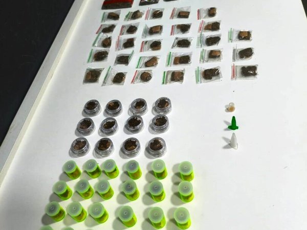 GCM apreende 104 porções de drogas durante patrulhamento preventivo no Parque São Bento