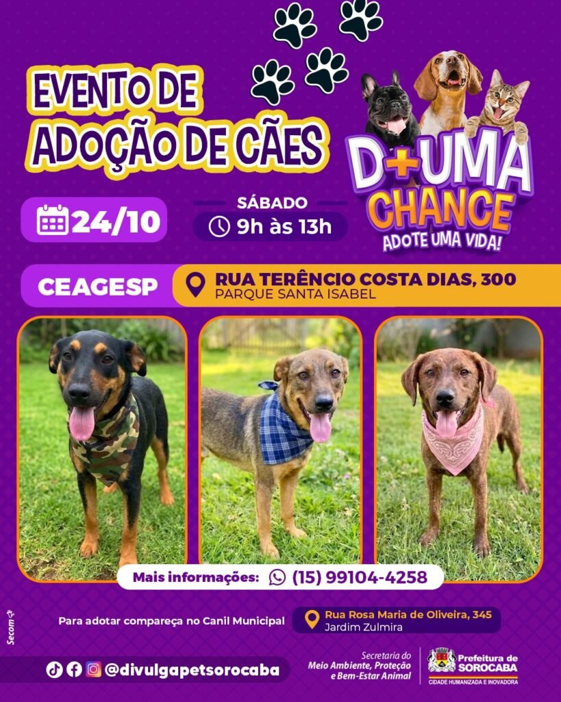 CEAGESP recebe evento de adoção de cães do Canil Municipal de Sorocaba neste sábado (24)