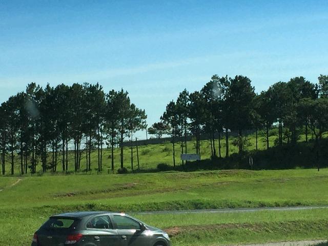 area em VILA ARTURA, SOROCABA - Área na Rodovia Castelo Branco Km 90,5, em frente a,Toyota. Terreno 10.900 m². - Foto 2