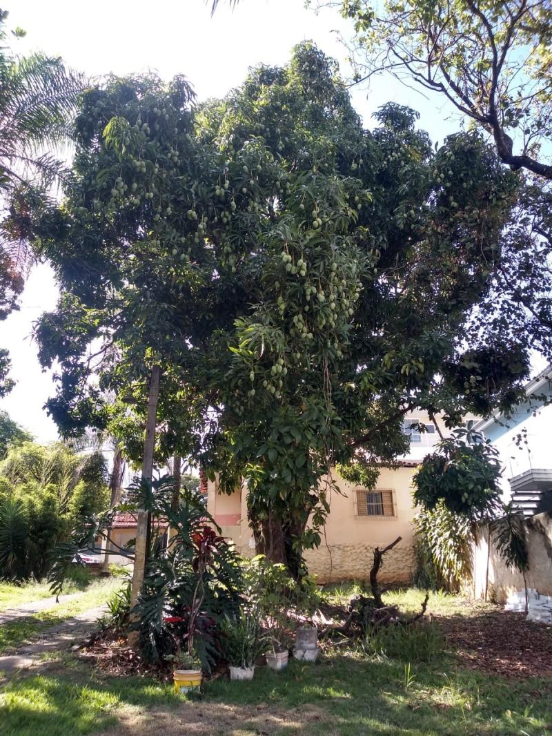 Chácara em LOPES DE OLIVEIRA, SOROCABA - Chácara com 4 dormitórios à venda, 2200 m² - Vila Helena - Sorocaba/SP - Foto 3
