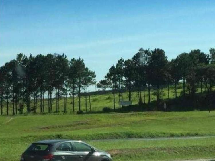 area em VILA ARTURA, SOROCABA - Área na Rodovia Castelo Branco (em frente a Toyota) - Foto 2