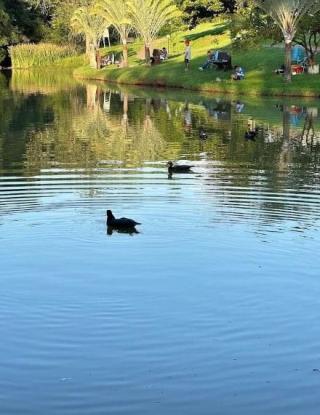 Terreno em JARDIM RESERVA IPANEMA, SOROCABA - Foto 10