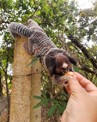 Chácara em JUNDIAQUARA, ARAÇOIABA DA SERRA - Foto 23