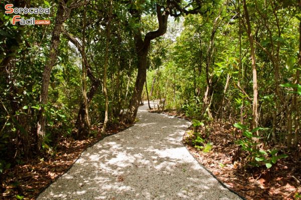 Terreno em , Sorocaba - Terreno Condomínio Villa do Bosque Ligue - Foto 3