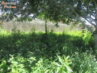 Terreno em , Itanhaém - Foto 2